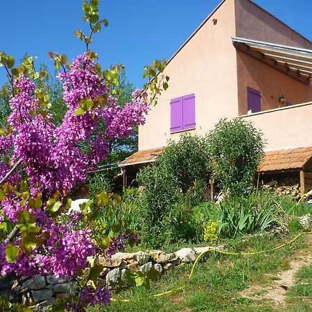 Le Gite De Cristal Proche Bugarach Granes Luaran gambar