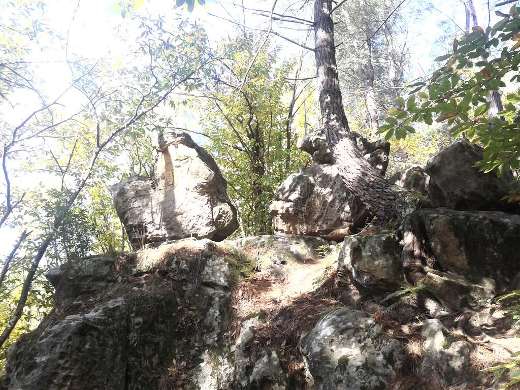 Le Gite De Cristal Proche Bugarach Granes Luaran gambar